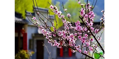 阳春三月，喜乐娱乐一大波展会即将来袭，您准备好了吗？