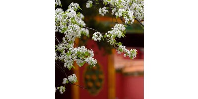 【展会资讯】喜乐娱乐5月展会一览，等您来参观！