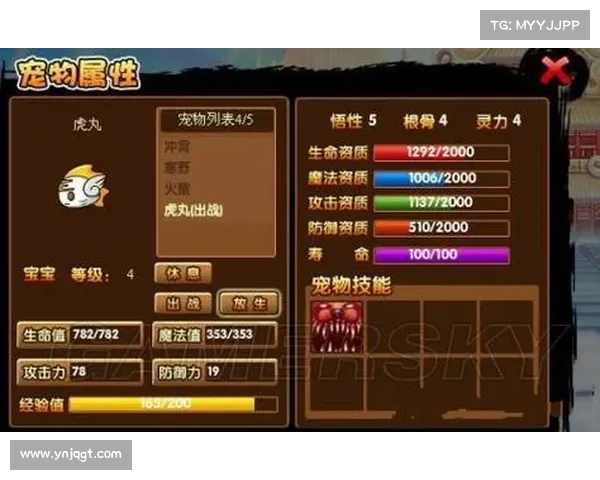 深度解析造梦西游3宠物抓捕秘籍与高效技巧助你轻松获取强力伙伴