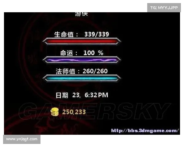 阿玛拉王国惩罚游戏中高效管理与扩展背包容量的完整使用指南