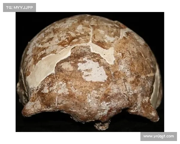 揭开恐怖祖先的神秘面纱五个被历史遗忘的惊悚真相