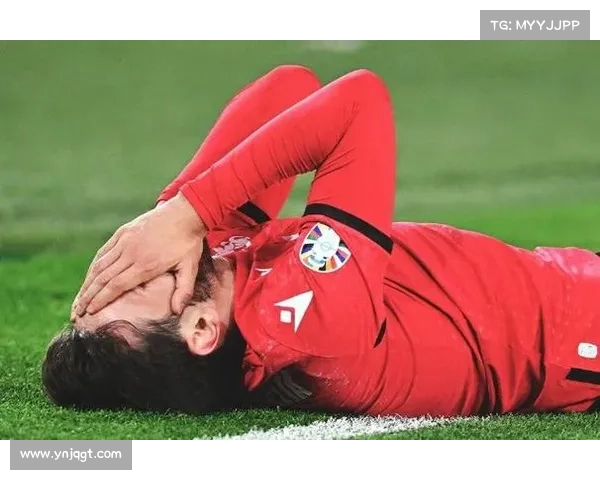 捷克队失利背后的警示哈谢克深刻见解引发足球未来思考